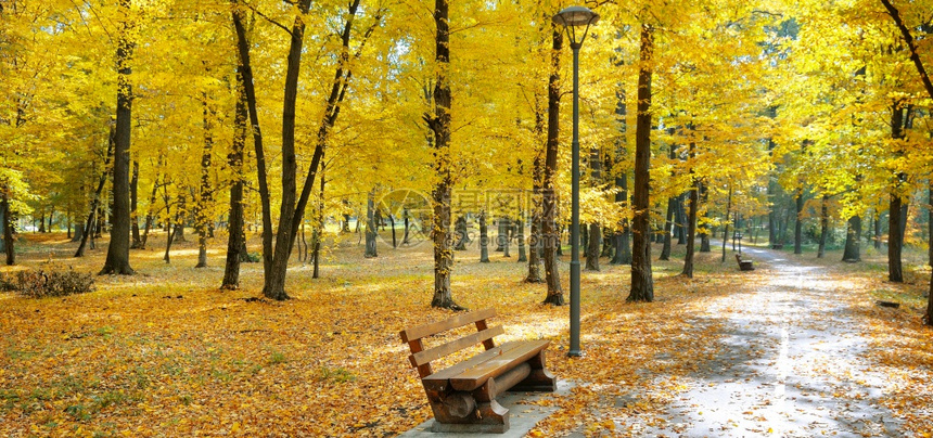 一个美丽的秋天公园长椅放轻松宽广的照片图片