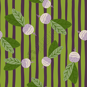 无缝模式白色萝卜绿色叶子紫绿色竖条纹背景图片