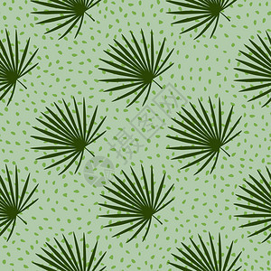 带手画风扇棕榈形状的热带无缝图案点的浅绿色背景织物设计纺品包装覆盖矢量说明的装饰背景带手画风扇棕榈形状的对角观赏热带无缝图案点的图片