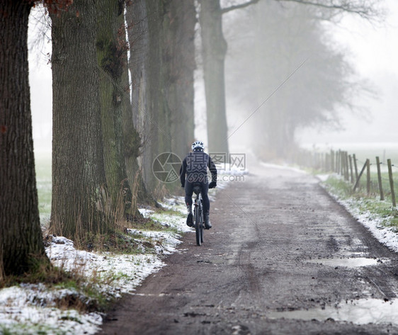 男子在冬季骑山车上沿着树林和草地骑山图片