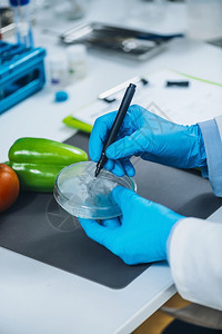 专门微生物学实验室的食品安全和质量分析与水果和蔬菜样本合作的微生物学家专门微生物学实验室的食品安全和质量控制分析图片