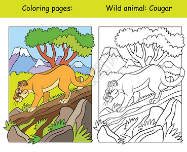 在山区带行走美洲豹的矢量颜色页面卡通孤立的彩色插图用于彩色书籍设计学前教育印刷和游戏的彩色页面和模板书页和模板图片