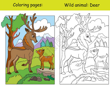 带有山区可爱鹿的矢量颜色页面卡通孤立的多彩插图色书页和颜模板用于彩色书设计学前教育印刷和游戏的彩色书页和颜模板彩书页和颜模板图片