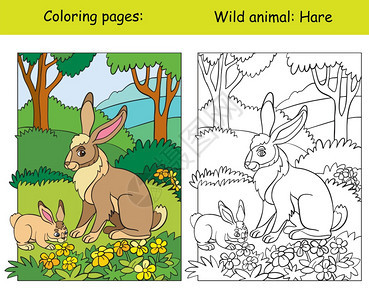 森林中带有可爱兔子的矢量彩色页面漫画孤立的多彩插图色书页和颜模板彩书本设计学龄前教育印刷和游戏的彩色页面和颜模板彩书页和颜模板兔图片