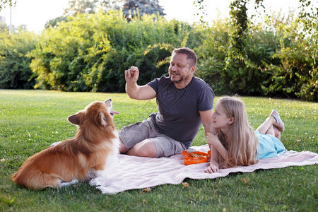 爸爸女孩和狗在公园的草坪上图片