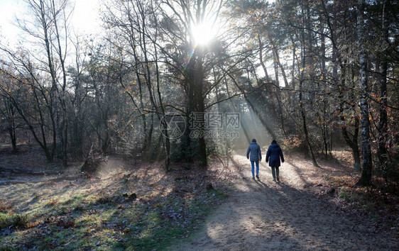 在秋天的阳光明媚有两个女人在秋天的森林中行走靠近门和乌德勒支在内地的阴沟里与雾相伴图片