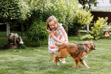 小女孩在草地上和宠物狗玩耍图片