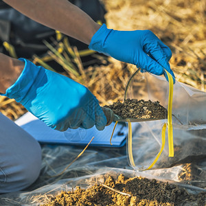农学家在户外将土壤和花园铲子放在土壤样品袋中图片