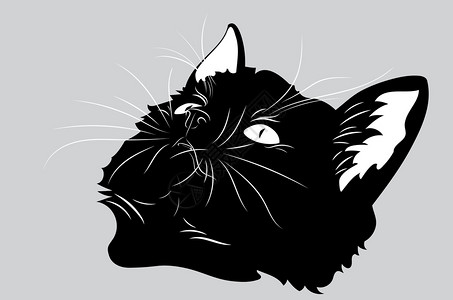 黑白色的猫插画_ 黑白色的猫卡通_ 黑白色的猫插图_手绘_板绘_摄图网