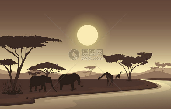 非洲野生动物大象剪影图片