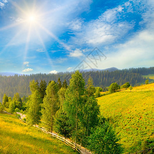 美丽的夏日山地广大的草原和森林由中午的阳光照亮背景图片