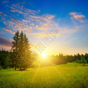 夏日的喀尔巴阡森林和草地美丽的夕阳喀尔巴阡山脉乌黑图片