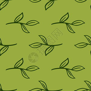 绿色无植物图案带有简单的轮廓叶枝图片