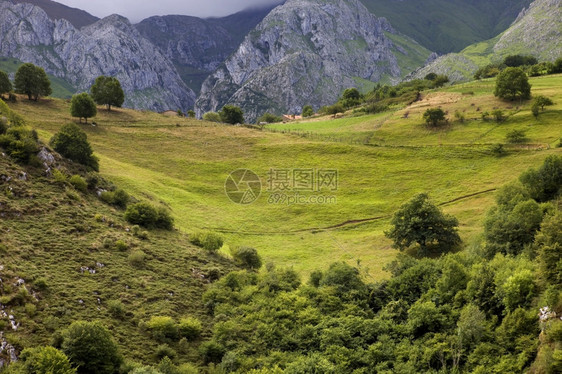 西班牙北部的欧洲山图片