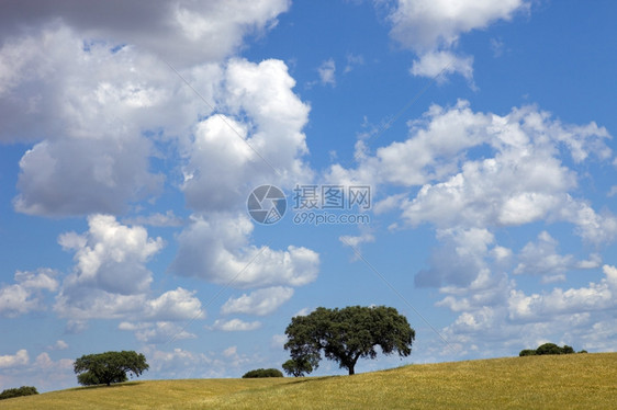 在Portugal以南的Aentjo农场风景图片