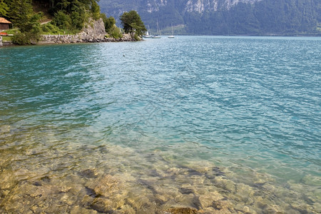 从瑞士的Iseltwad观测到的jungfra地区的阿尔卑斯山湖brienz图片