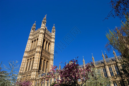 伦敦西敏斯特市议会大楼图片