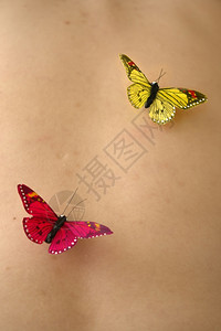 女皮肤中的蝴蝶图片