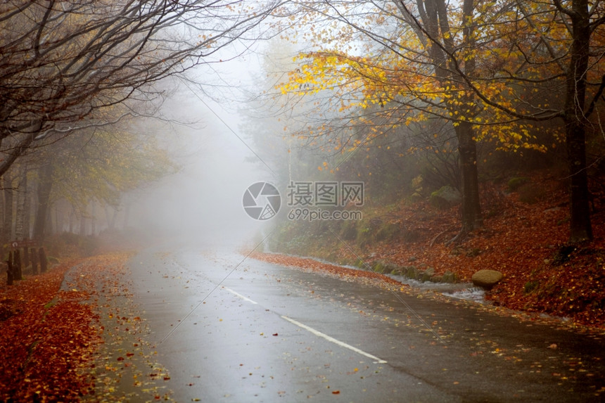 在葡萄牙公园的雨中图片