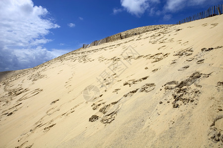 著名的皮拉沙丘在欧洲最高的沙丘法兰西皮拉沙丘图片