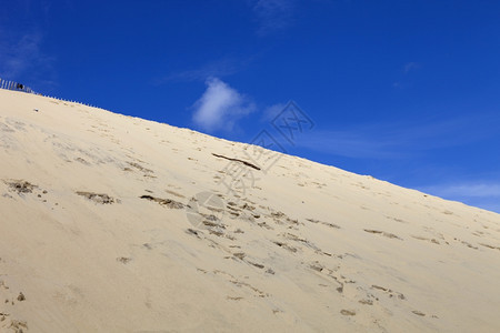 来参观著名的皮拉丘陵欧洲最高的沙丘201年在皮拉丘陵图片