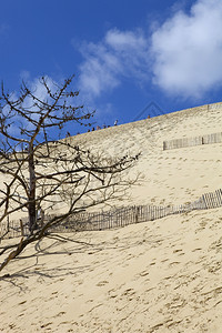 来参观著名的皮拉丘陵欧洲最高的沙丘201年在皮拉丘陵图片