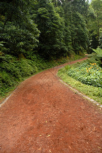 红路位于Smiguel岛图片