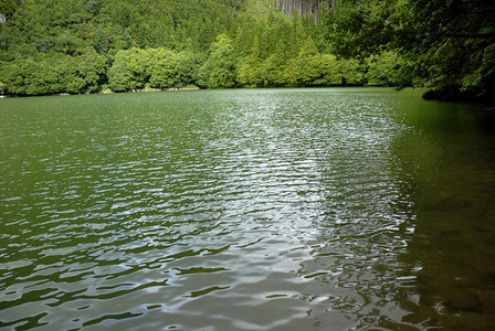 在SaoMiguel岛的SaoGncl湖图片