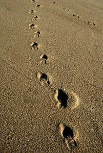 湿沙层中的人类足迹图片