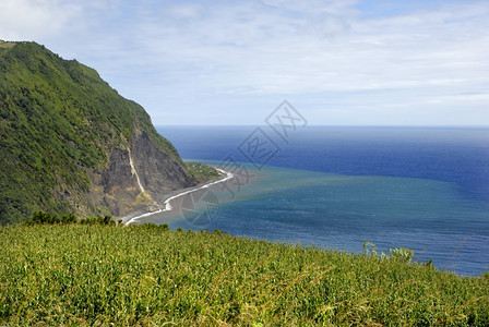 SaoMiguel岛沿海区图片