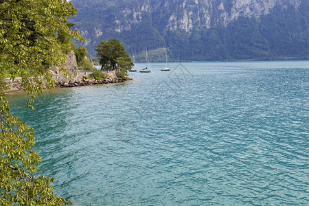 从瑞士的Iseltwad观测到的jungfra地区的阿尔卑斯山湖brienz图片