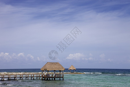 在墨西哥Yucatn半岛的criben海的木头码图片