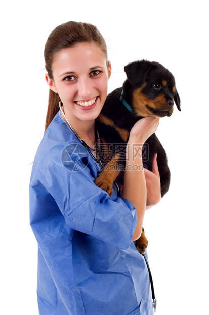 黑褐色兽医和一只小狗被白背景孤立图片