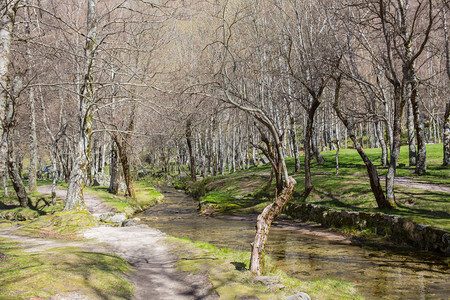 covad位于seradestrla自然公园的comaetd图片