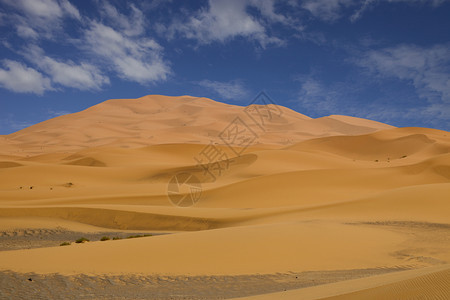 在摩洛哥沙哈拉漠丘图片