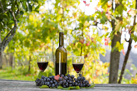 酒瓶和葡萄放在户外的木桌上红酒图片
