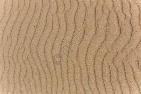 沙滩丘背景图片
