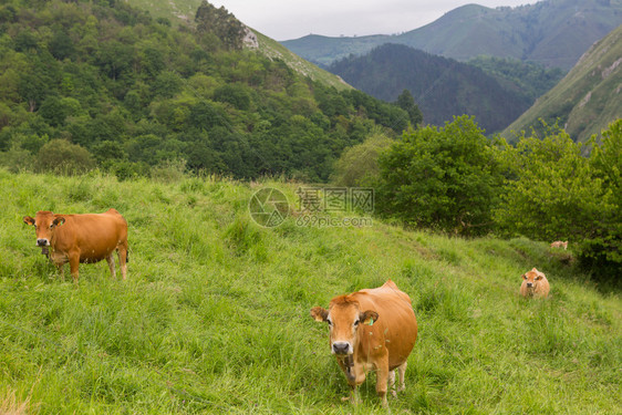 山地是西班牙的一个非常旅游地方图片