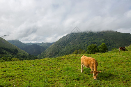 山地是西班牙的一个非常旅游地方图片