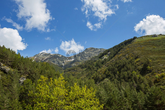 在欧洲皮科斯德罗巴公园西班牙阿斯图里亚山峰上的雪图片