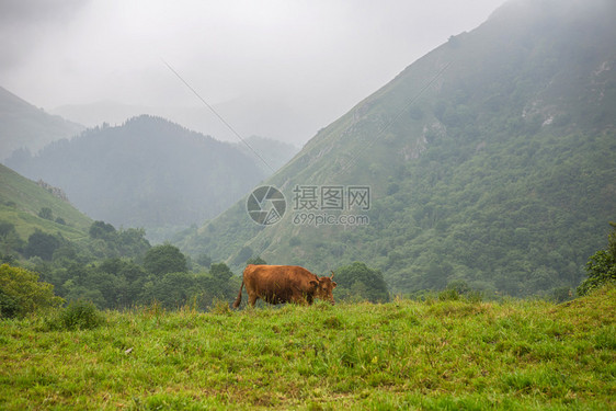 山地是西班牙的一个非常旅游地方图片