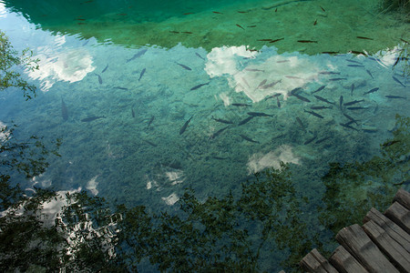 环礁湖公园croati图片