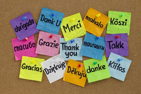 以十六种语言感谢您彩色的粘贴笔记刻在cork公告板上的笔迹图片