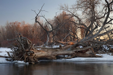 科罗拉多东部南普特河典型的冬季风景图片