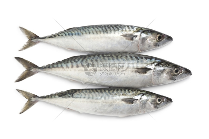 白色背景的新鲜竹鱼