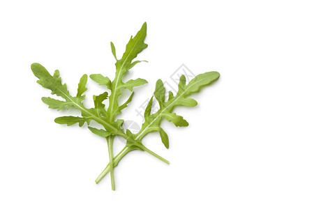 野芥菜白色背景的新鲜叶背景