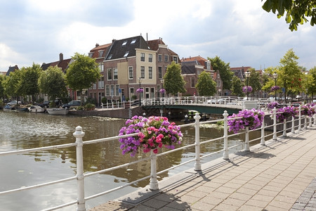 在荷兰莱顿老城的一条运河旁观图片