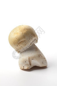 一种蘑菇阿加里库斯饼干图片