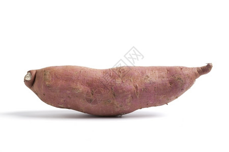 一只甜土豆背景图片