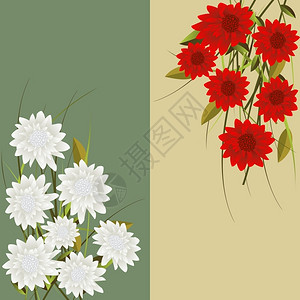 花的幻想垂直信头红花和白图片